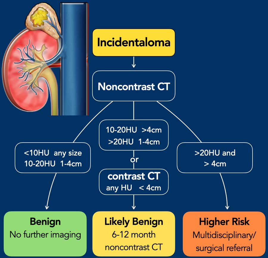The figure is based on the guidelines given by Seow et al in the article entitled 